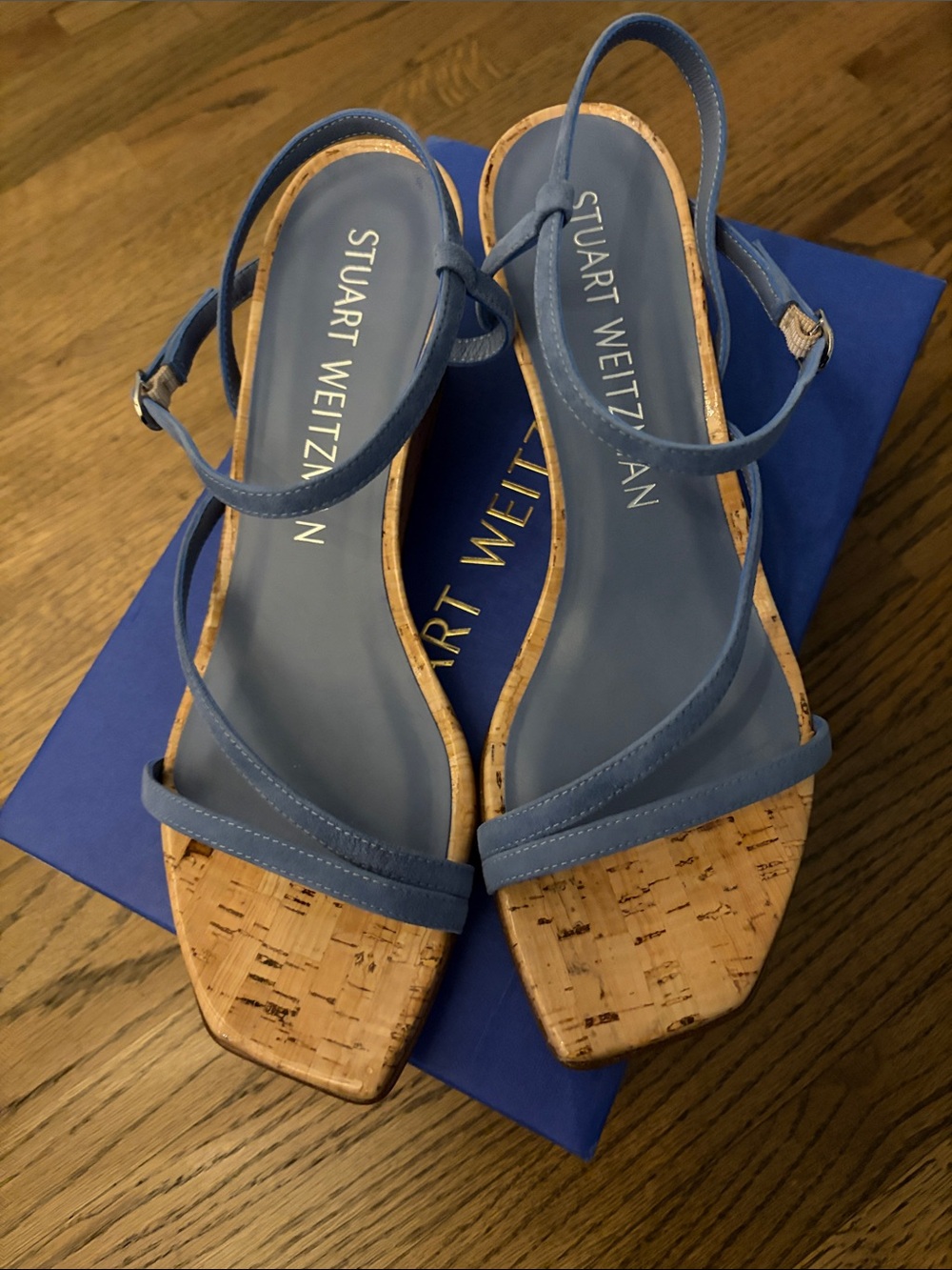 Stuart Weitzman Oasis Wedge Blue Steel Strap Slingbacks
